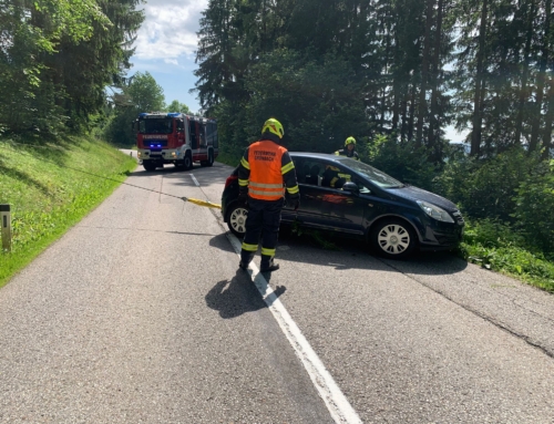 Einsatz Fahrzeugbergung, am 11.06.2025